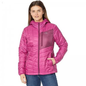 L.L.Bean Petite Primaloft Packaway Jacket Sugarplum/Bramble Berry ID-Li24Ncbk