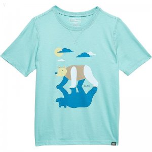 L.L.Bean Organic Short Sleeve Tee (Big Kids) Ocean Teal Bear ID-80wRKGMz