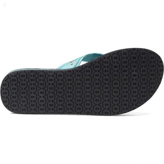 L.L.Bean Classic Maine Isle Flip-Flop 3 Motif Sea Aqua/Honeybees ID-NZslxZDw