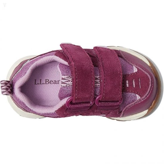 L.L.Bean Trail Model Low Hiker (Toddler) Violet Chalk/Purple Clover ID-gPfZxm7M