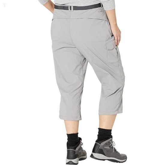 L.L.Bean Plus Size Tropicwear Capri Pants Frost Gray ID-n1tb3fa7