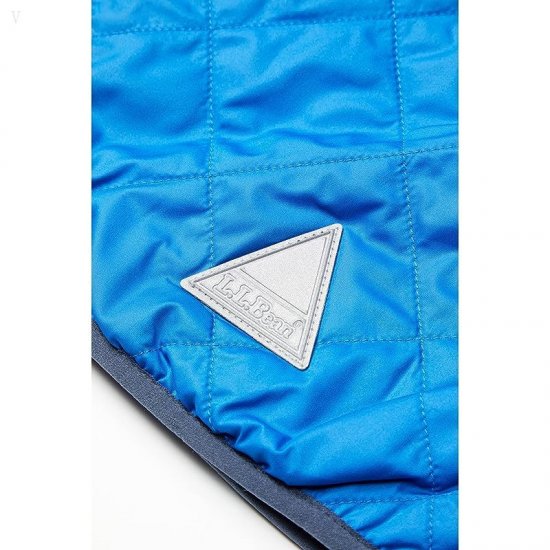 L.L.Bean Mountain Bound Reversible Hooded Jacket (Toddler) Deep Sapphire/Carbon Navy ID-fICTc0mq