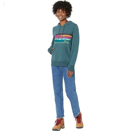 L.L.Bean Petite Bean\'s Cozy Camp Hoodie Graphic Spruce Heather Colorbars ID-W6mpZKne