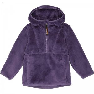 L.L.Bean Hi-Pile Fleece Pullover Hoodie (Little Kids) Muted Purple ID-IXUzgnO4