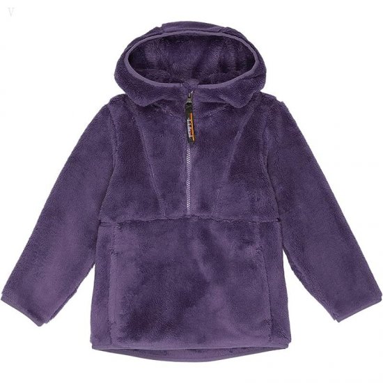 L.L.Bean Hi-Pile Fleece Pullover Hoodie (Little Kids) Muted Purple ID-IXUzgnO4