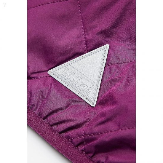 L.L.Bean Mountain Bound Reversible Hooded Jacket (Infant) Plum Grape/Magenta Haze ID-tbnvadUj