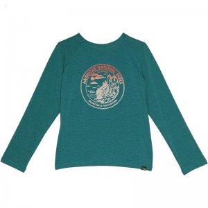 L.L.Bean Everyday Sun Smart Long Sleeve Tee (Little Kids) Warm Teal National Parks ID-RmAySagC