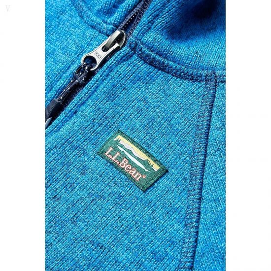 L.L.Bean Bean\'s Sweater Fleece Full Zip (Toddler) Glacier Blue ID-V8RG4EFB