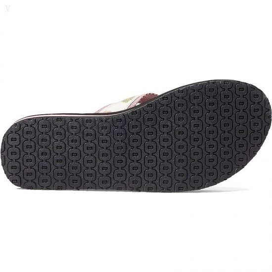 L.L.Bean Classic Maine Isle Flip-Flop 3 Motif Field Rose/Zinnia ID-kFYRNE1G