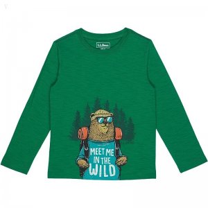 L.L.Bean Graphic Tee Glow in the Dark Long Sleeve (Big Kids) Lawn Green Hiking Bear ID-2Ytc8ZRl