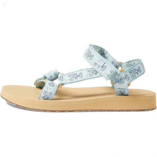 L.L.Bean Maine Isle Sara Fitz 4 Point Sandal Print Aqua Teal Lobster ID-qwZGnwhF