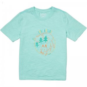 L.L.Bean Graphic Tee Glow in the Dark (Big Kids) Faded Jade Love Nature ID-0XNGRnK6