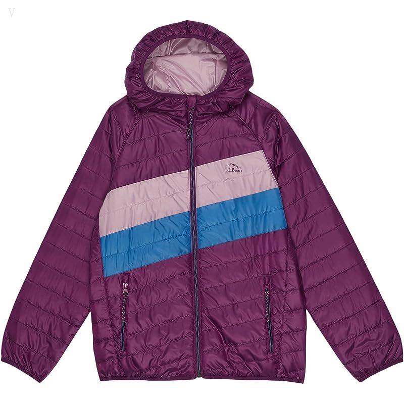 L.L.Bean Primaloft Packaway Hooded Color-Block Jacket (Big Kids) Dark Mulberry/Light Mauve ID-0ti83Qqv