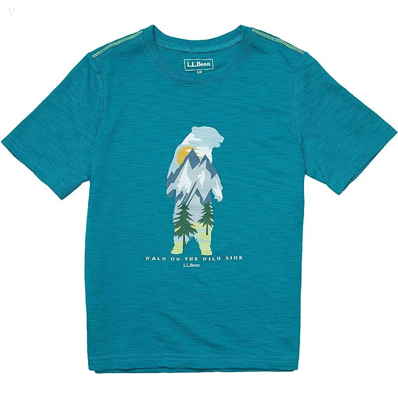 L.L.Bean Graphic Tee Glow in the Dark (Big Kids) Teal Blue Bear ID-4HRRgKON