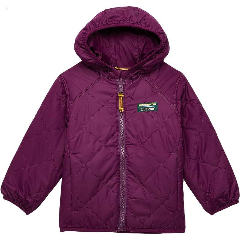 L.L.Bean Mountain Bound Reversible Hooded Jacket (Little Kids) Plum Grape/Magenta Haze ID-5ICH3iOh