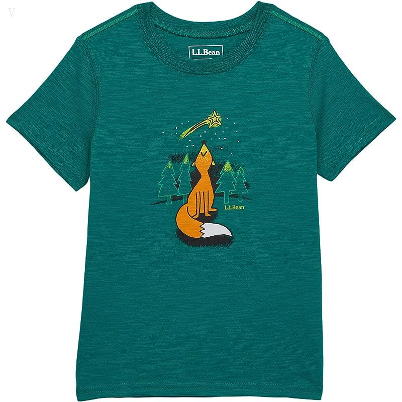 L.L.Bean Graphic Tee Glow in the Dark (Little Kids) Emerald Spruce Fox ID-67cdvTgd