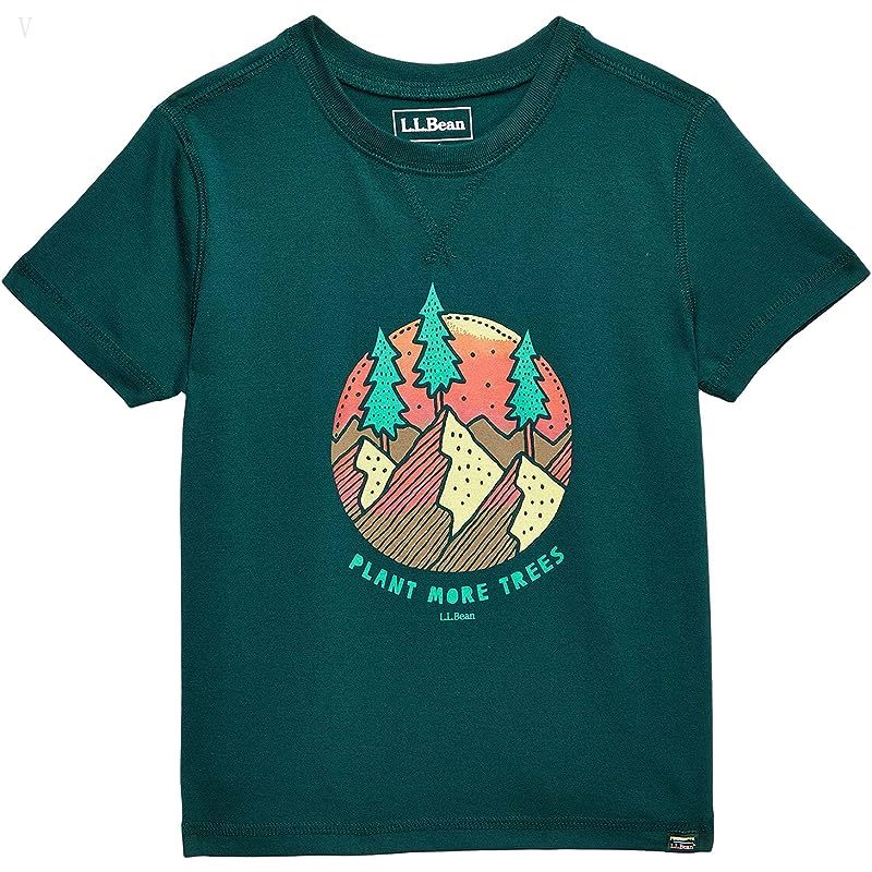 L.L.Bean Organic Short Sleeve Tee (Little Kids) Deepest Green Plant More Trees ID-6VkIgta7