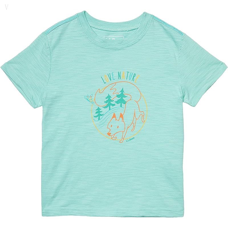 L.L.Bean Graphic Tee Glow in the Dark (Little Kids) Faded Jade Love Nature ID-DgnddHKJ