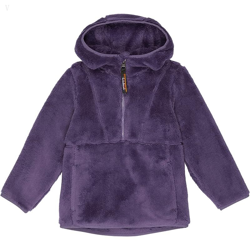 L.L.Bean Hi-Pile Fleece Pullover Hoodie (Little Kids) Muted Purple ID-IXUzgnO4