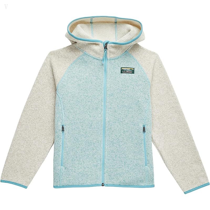 L.L.Bean Bean's Sweater Fleece Hooded Color-Block (Big Kids) Sailcloth/Light Mint ID-JqZry0Nd