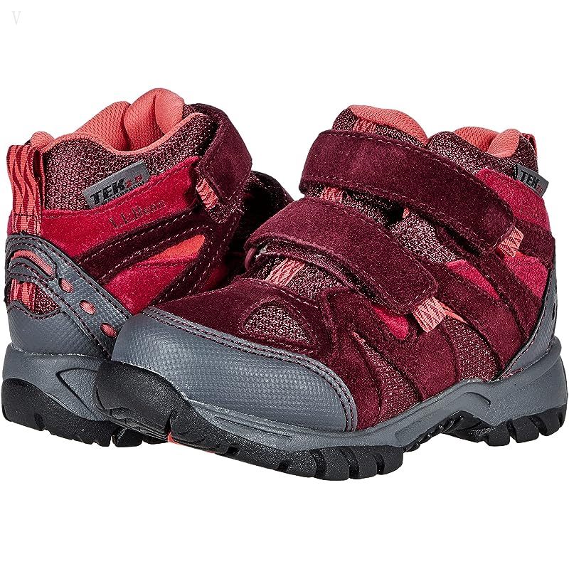 L.L.Bean Trail Model Water Resistant Hiker (Toddler) Black Cherry ID-QD2qFxCx