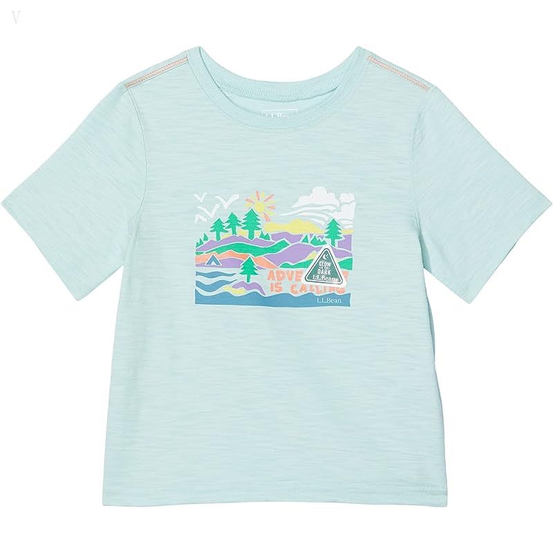 L.L.Bean Graphic Tee Short Sleeve Glow in The Dark (Toddler) Cool Sea Blue Adventure ID-VioqD5A4