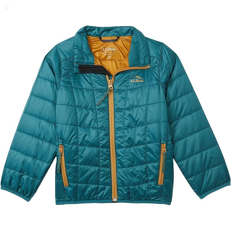 L.L.Bean PrimaLoft Packaway Jacket (Little Kids) Spruce Pine ID-WE9nzy4w