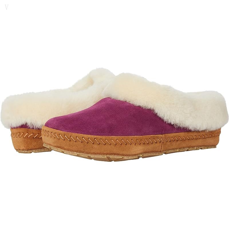 L.L.Bean Wicked Good Slippers Squam Lake Bramble Berry ID-dU7wgUq0