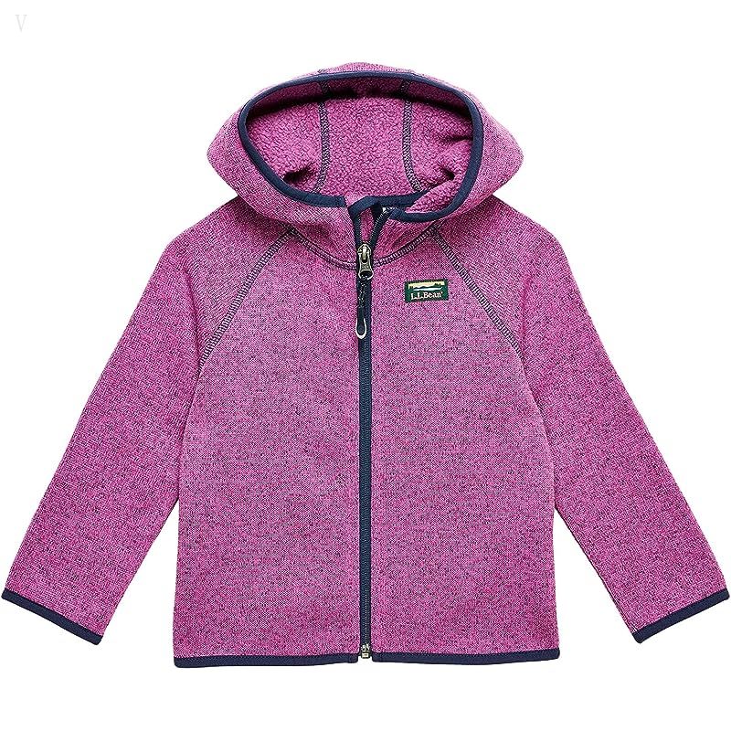 L.L.Bean Bean's Sweater Fleece Full Zip (Toddler) Dark Mulberry ID-fnjJMcJy