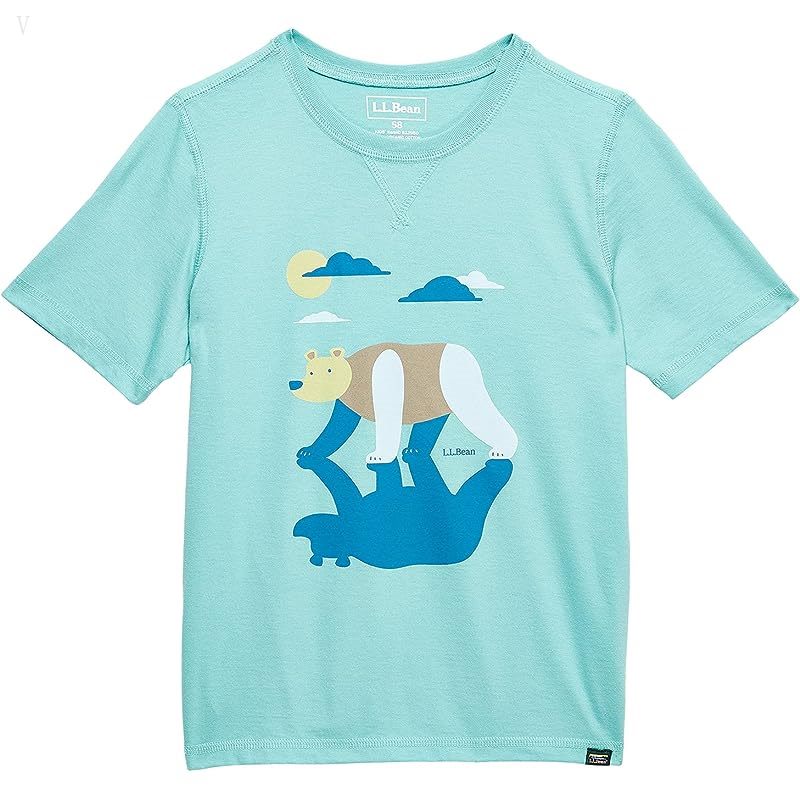 L.L.Bean Organic Short Sleeve Tee (Big Kids) Ocean Teal Bear ID-kYnixcMt