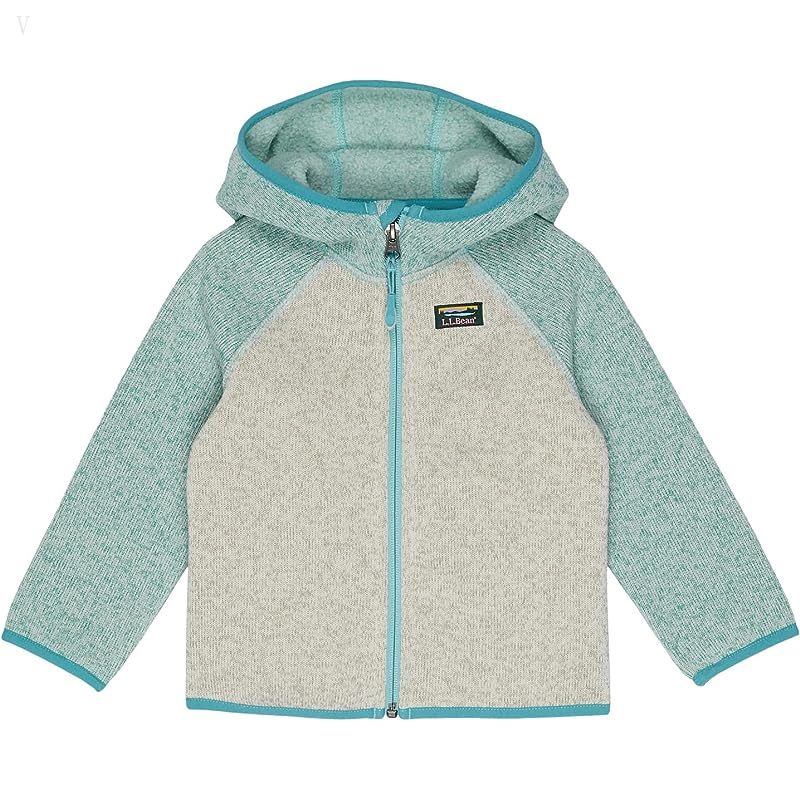 L.L.Bean Bean's Sweater Fleece Full Zip Color-Block (Infant) Light Mint/Sailcloth ID-xRMVlUFR